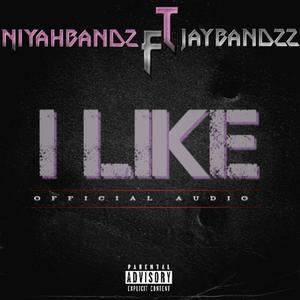 I like (feat. Jaybandzz) (Explicit)