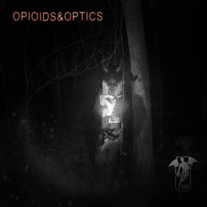 OPIOIDS&OPTICS (Explicit)