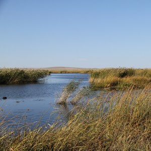 就恋这方热土