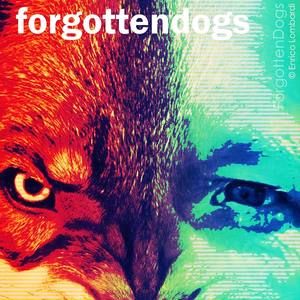 Forgotten Dogs