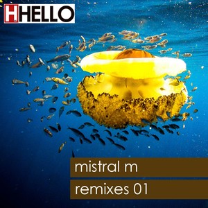 Sorry For This Track (Mistral M Remix)