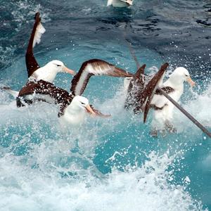 The Last Danish (feat. S T R E T C H) (Explicit)