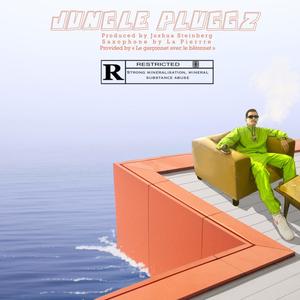 Jungle Pluggz (feat. La Pierrre)