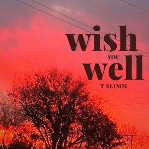 Wish You Well (Explicit)