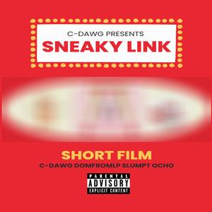 Sneaky Link (feat. Domfromlp) (Explicit)