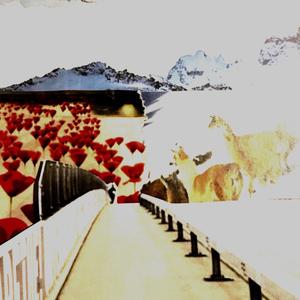 Friend of Love(feat. Anouchka Gwen, Mukui & Graham Heath)