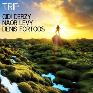 Trip (feat. Naor Levy & Denis Fortoos)