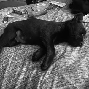 Playground (Explicit)