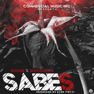 Sabes(feat. BixchoBoy)