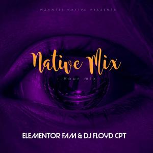 Native Mix (feat. Elementor Fam)