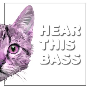 Hear This Bass