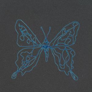 butterflies