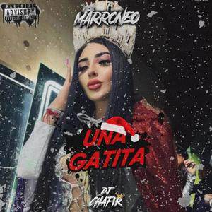 INTRO NAVIDAD GATITA