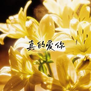 真的爱你 (2026版)