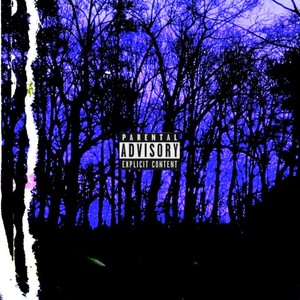Purple scars (feat. My odds)
