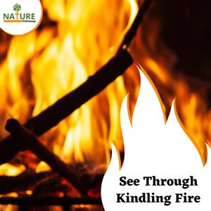 See Through Kindling Fire