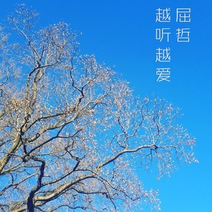 屈哲 - No.495 All That I Want Is……?