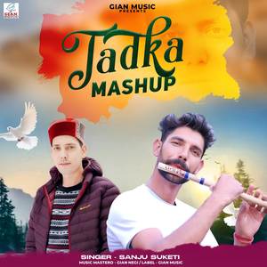 Tadka Mashup