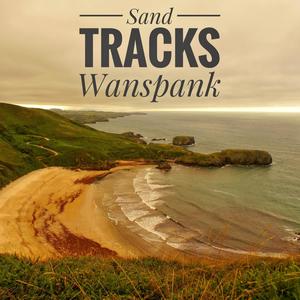 Wanspank (feat. Robert James Hanrahan, Mauro Tiberi & Alex Barberis)