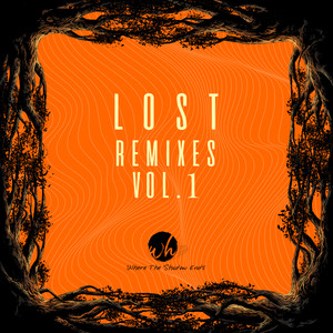 Missing Someone (Davide Ferrario Remix)