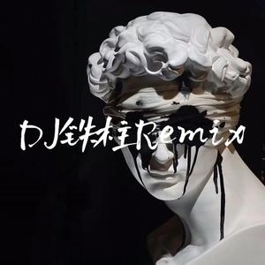 坏女孩-DJ铁柱