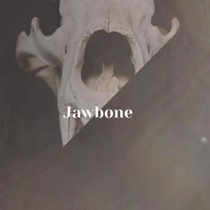 Jawbone