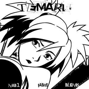 TEMARI (feat. Fabhy & Bilkings) (Explicit)