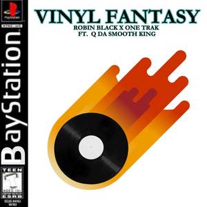 Vinyl Fantasy