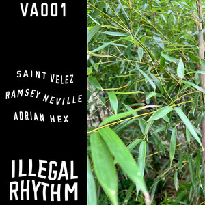 Illegal Rhythm Va001