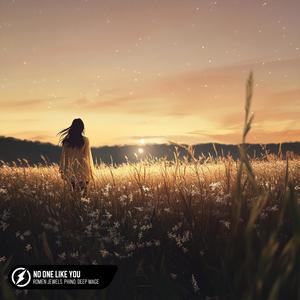 No One Like You