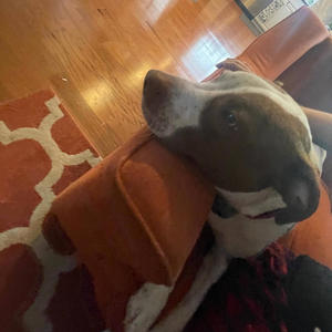 twin (feat. RedPea) (Explicit)