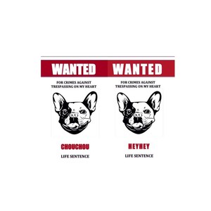 你走 (女声治愈版)