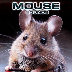 Mouse Sounds(feat. National Geographic Nature Sounds, White Noise Ambience, Relaxing Nature Sound, Soothing Baby Sounds & National Geographic Soundscapes)