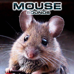 Mouse Sounds (feat. National Geographic Nature Sounds, White Noise Ambience, Relaxing Nature Sound, Soothing Baby Sounds & National Geographic Soundscapes)