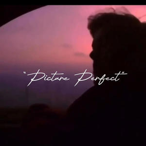 Picture Perfect (Explicit)