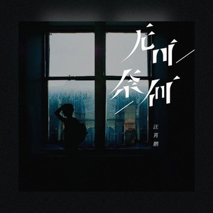 无可奈何 (伴奏)