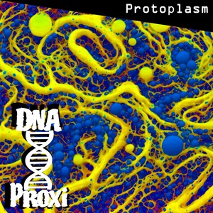 Protoplasm