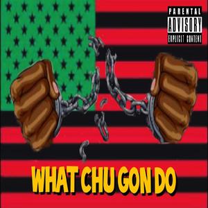 WHAT CHU GON DO (Explicit)