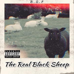 The Real Black Sheep (Explicit)