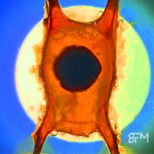 il Tempo di un Giorno (Explicit)