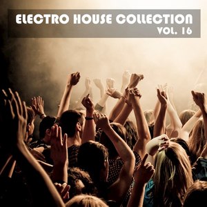 Electro House Collection, Vol. 16