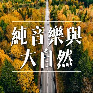 赴你的约 (DJ长音频)封面