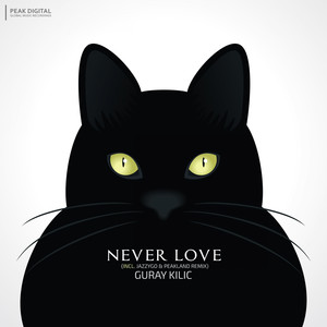 Never Love