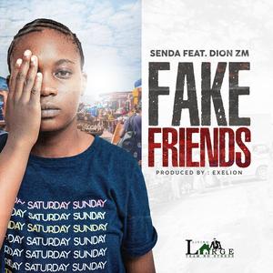 Senda _ Fake Friends