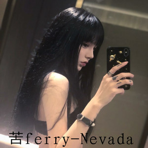 Nevada-苦ferry