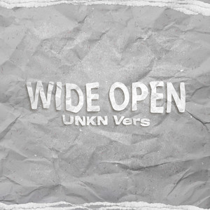 Wide Open (Explicit)