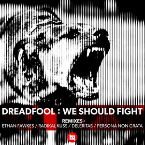We Should Fight (Persona Non Grata Remix)