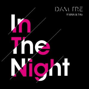 In The Night (feat. T-tto & Maia)