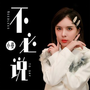 不必说 (DJheap九天版)