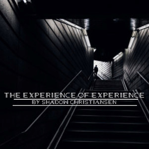 The Experience of Experience